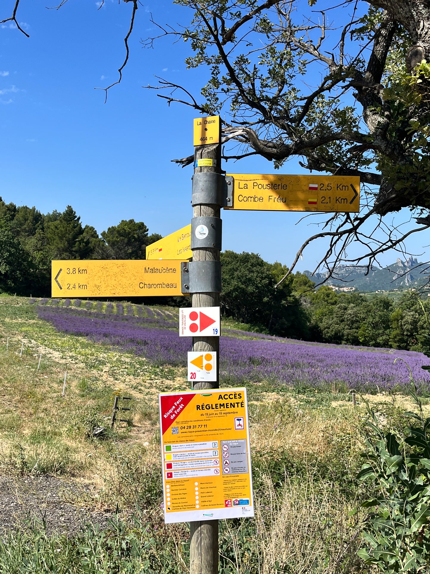 Reservation Deposit for Trip to Provence