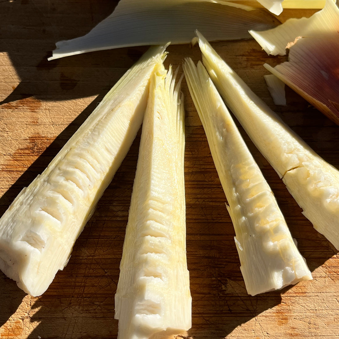fresh picked bamboo shoots from www.Penrynorchardspecialties.com