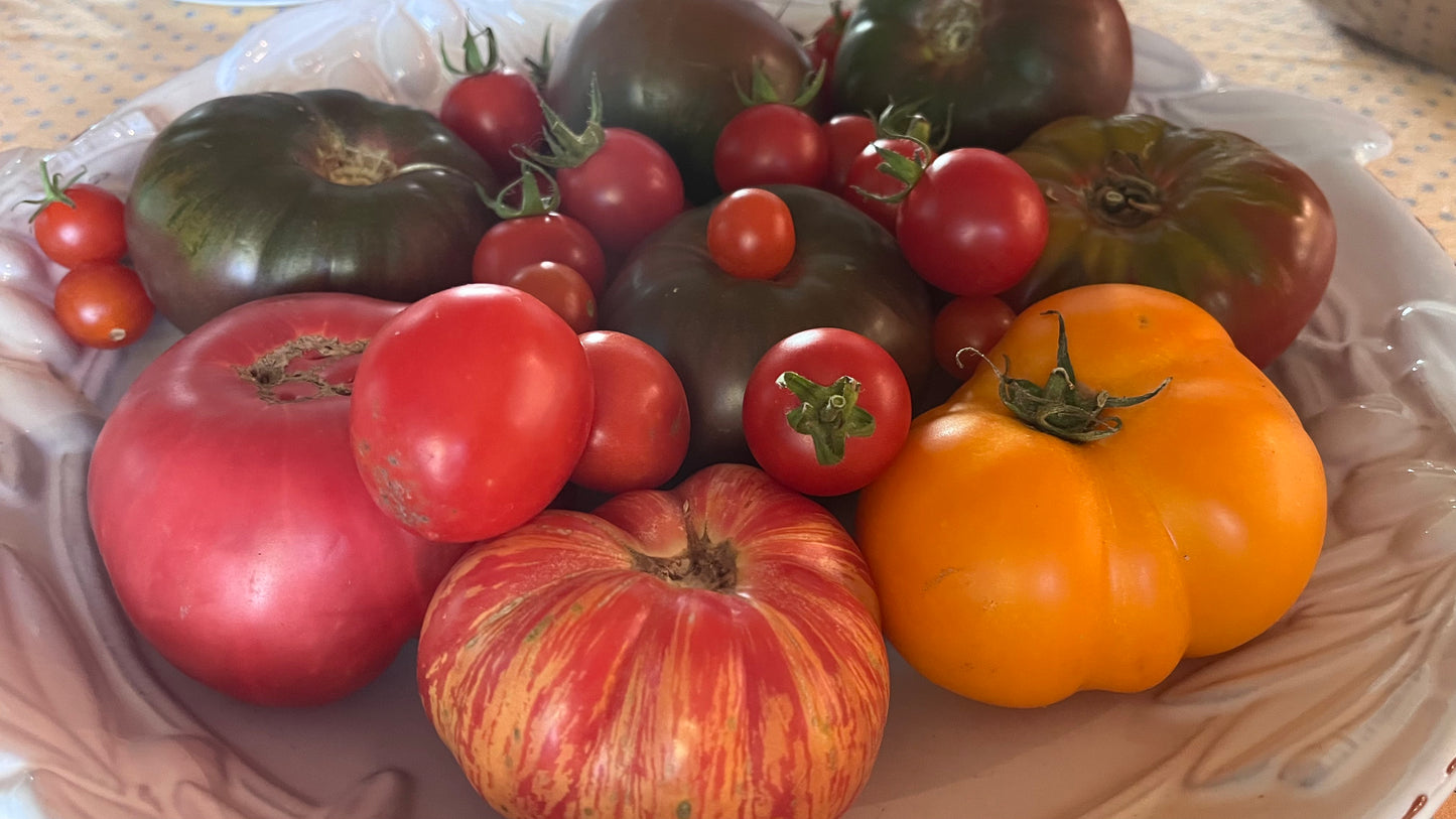 Harvest Morning — Tomato Preserving Class Tuesday September 1st