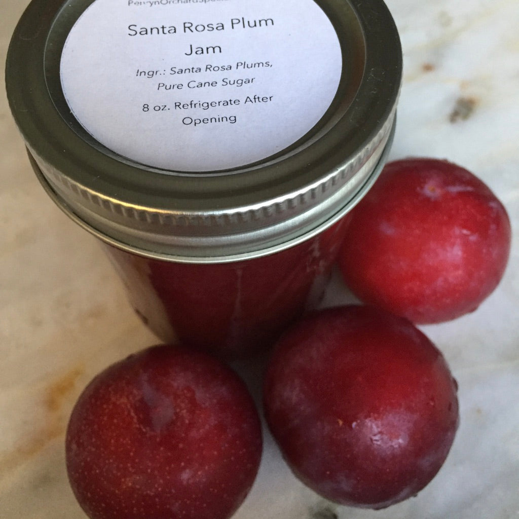 Santa Rosa Plum Jam